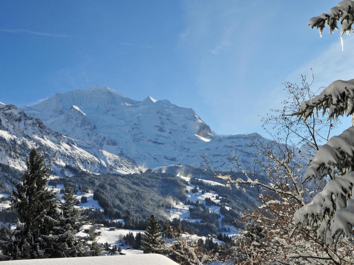 Apartment Helene Apt Diana By Interhome Wengen Eksteriør bilde
