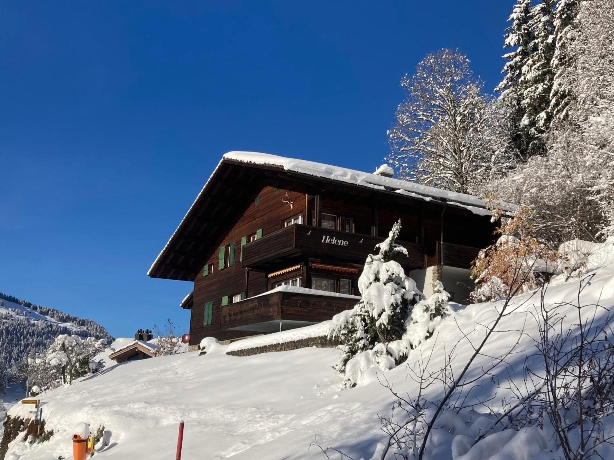 Apartment Helene Apt Diana By Interhome Wengen Eksteriør bilde